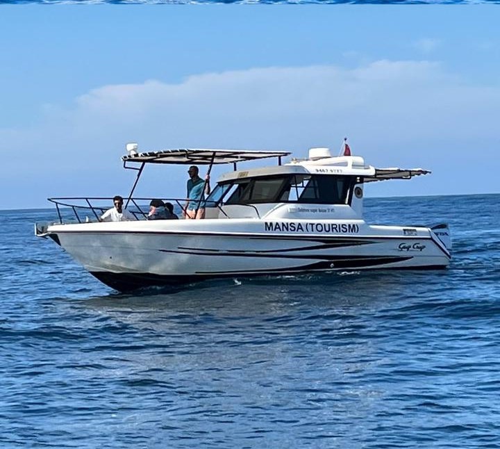 Dolphin Watching & Snorkeling – Private